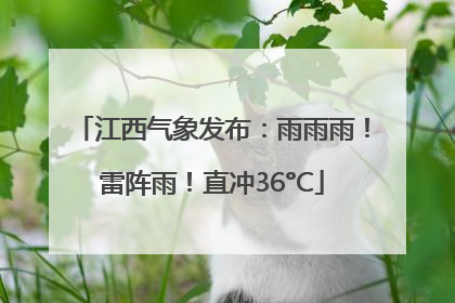 江西气象发布：雨雨雨！雷阵雨！直冲36°C