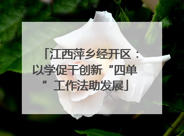 江西萍乡经开区：以学促干创新“四单”工作法助发展