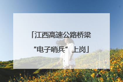 江西高速公路桥梁“电子哨兵”上岗