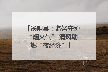 汤阴县：监督守护“烟火气” 清风助燃“夜经济”