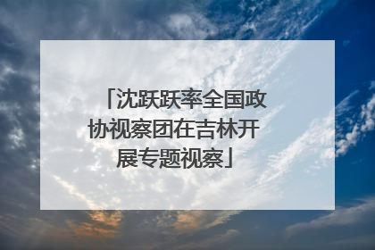 沈跃跃率全国政协视察团在吉林开展专题视察