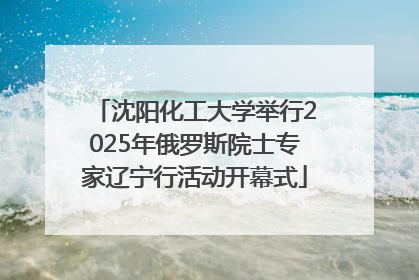 沈阳化工大学举行2025年俄罗斯院士专家辽宁行活动开幕式