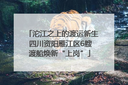 沱江之上的渡运新生 四川资阳雁江区6艘渡船焕新“上岗”
