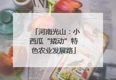 河南光山：小西瓜“撬动”特色农业发展路