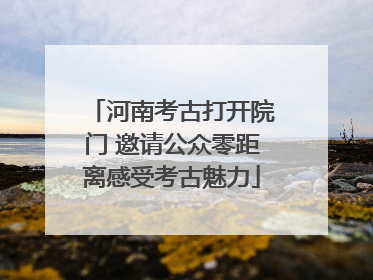 河南考古打开院门 邀请公众零距离感受考古魅力