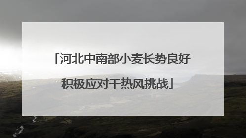 河北中南部小麦长势良好 积极应对干热风挑战