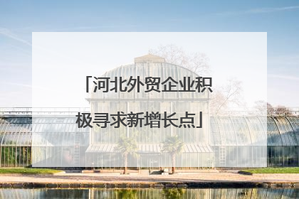 河北外贸企业积极寻求新增长点