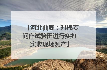 河北曲周：对棉麦间作试验田进行实打实收现场测产