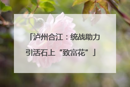 泸州合江：统战助力引活石上“致富花”