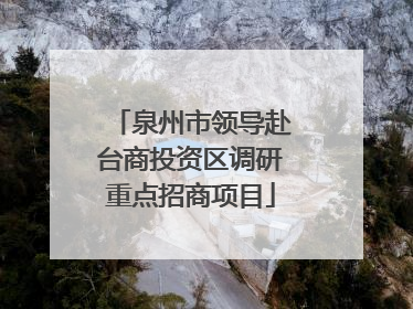 泉州市领导赴台商投资区调研重点招商项目