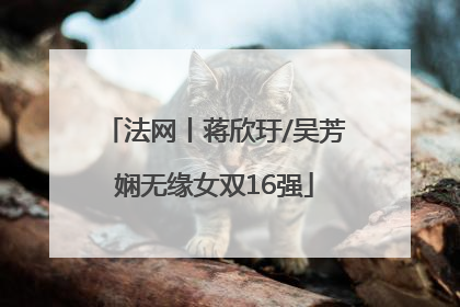 法网丨蒋欣玗/吴芳娴无缘女双16强