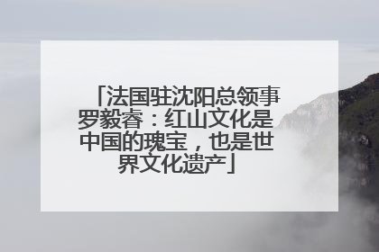 法国驻沈阳总领事罗毅睿：红山文化是中国的瑰宝，也是世界文化遗产
