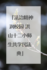 法治精神润校园 洪山十二小师生共学民法典