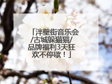 泮壁街音乐会/古城躲猫猫/品牌福利3天狂欢不停歇！