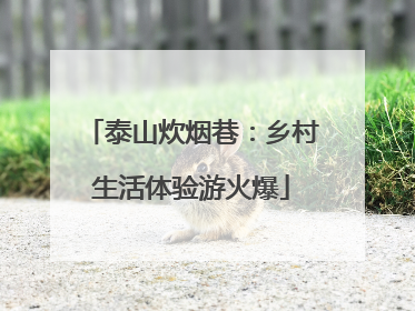 泰山炊烟巷：乡村生活体验游火爆