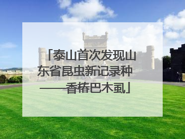 泰山首次发现山东省昆虫新记录种——香椿巴木虱