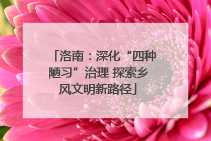 洛南：深化“四种陋习”治理 探索乡风文明新路径