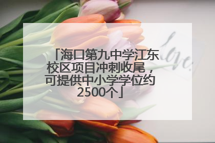 海口第九中学江东校区项目冲刺收尾，可提供中小学学位约2500个