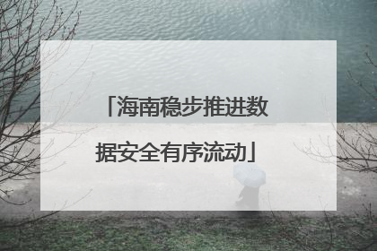 海南稳步推进数据安全有序流动