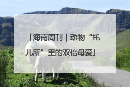 海南周刊｜动物“托儿所”里的双倍母爱