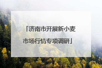 济南市开展新小麦市场行情专项调研