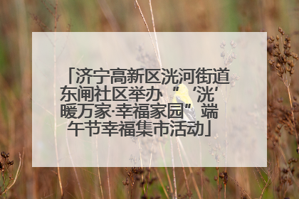 济宁高新区洸河街道东闸社区举办“‘洸’暖万家·幸福家园”端午节幸福集市活动