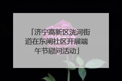 济宁高新区洸河街道在东闸社区开展端午节慰问活动