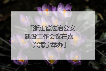 浙江省法治公安建设工作会议在嘉兴海宁举办