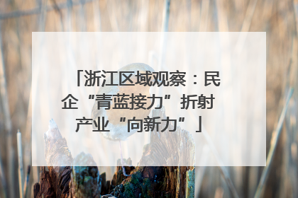 浙江区域观察：民企“青蓝接力”折射产业“向新力”