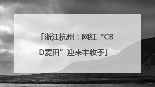浙江杭州：网红“CBD麦田”迎来丰收季