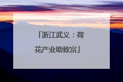 浙江武义：荷花产业助致富