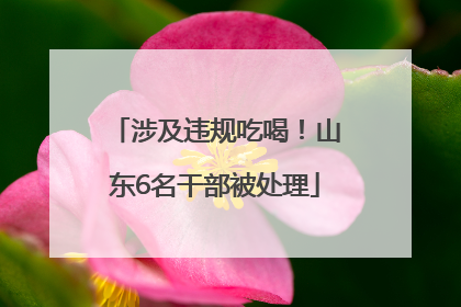 涉及违规吃喝！山东6名干部被处理