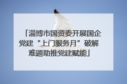 淄博市国资委开展国企党建“上门服务月”破解难题助推党建赋能