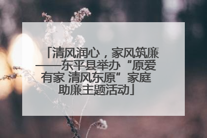 清风润心，家风筑廉——东平县举办“原爱有家 清风东原”家庭助廉主题活动