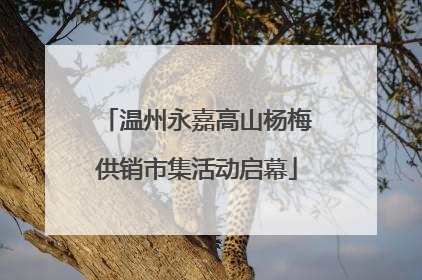温州永嘉高山杨梅供销市集活动启幕