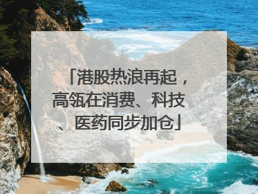 港股热浪再起，高瓴在消费、科技、医药同步加仓