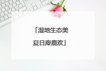 湿地生态美 夏日麋鹿欢