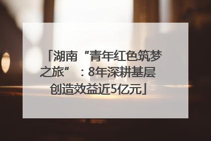 湖南“青年红色筑梦之旅”：8年深耕基层创造效益近5亿元