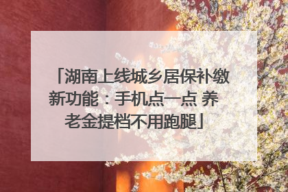 湖南上线城乡居保补缴新功能：手机点一点 养老金提档不用跑腿