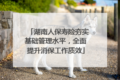 湖南人保寿险夯实基础管理水平，全面提升消保工作质效
