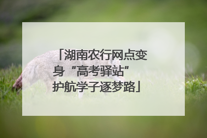 湖南农行网点变身“高考驿站” 护航学子逐梦路