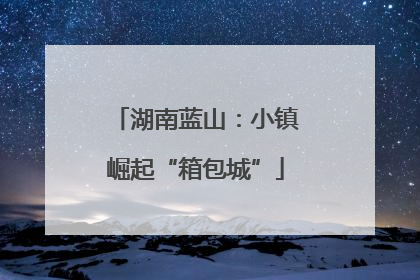 湖南蓝山：小镇崛起“箱包城”