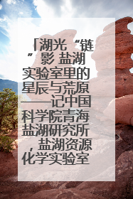 湖光“链”影 盐湖实验室里的星辰与荒原——记中国科学院青海盐湖研究所，盐湖资源化学实验室党总支书记、副主任刘忠