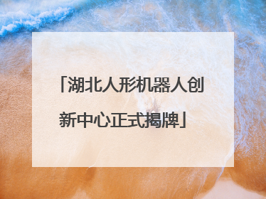 湖北人形机器人创新中心正式揭牌