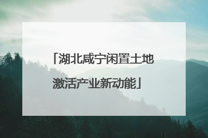 湖北咸宁闲置土地激活产业新动能