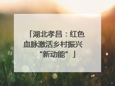 湖北孝昌：红色血脉激活乡村振兴“新动能”