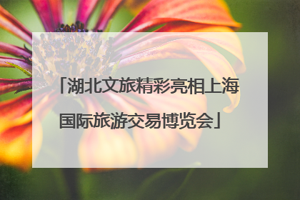 湖北文旅精彩亮相上海国际旅游交易博览会