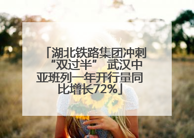 湖北铁路集团冲刺“双过半” 武汉中亚班列一年开行量同比增长72%