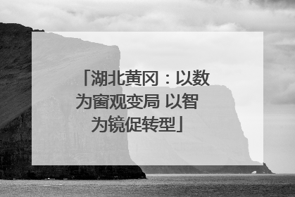 湖北黄冈：以数为窗观变局 以智为镜促转型