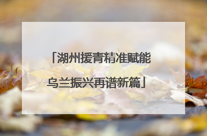 湖州援青精准赋能 乌兰振兴再谱新篇